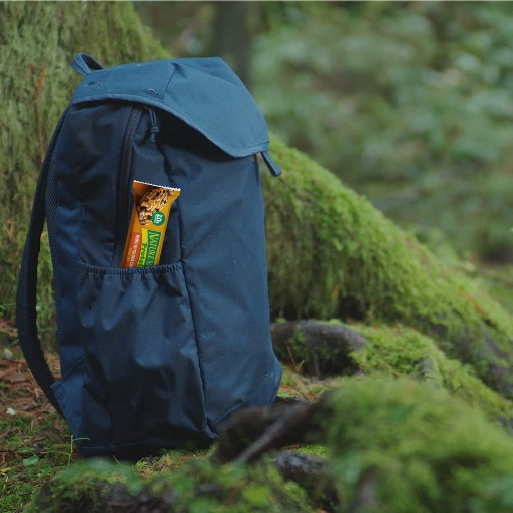 Nature Valley Peanut Butter Dark Chocolate flavor, ideal post-workout snack.