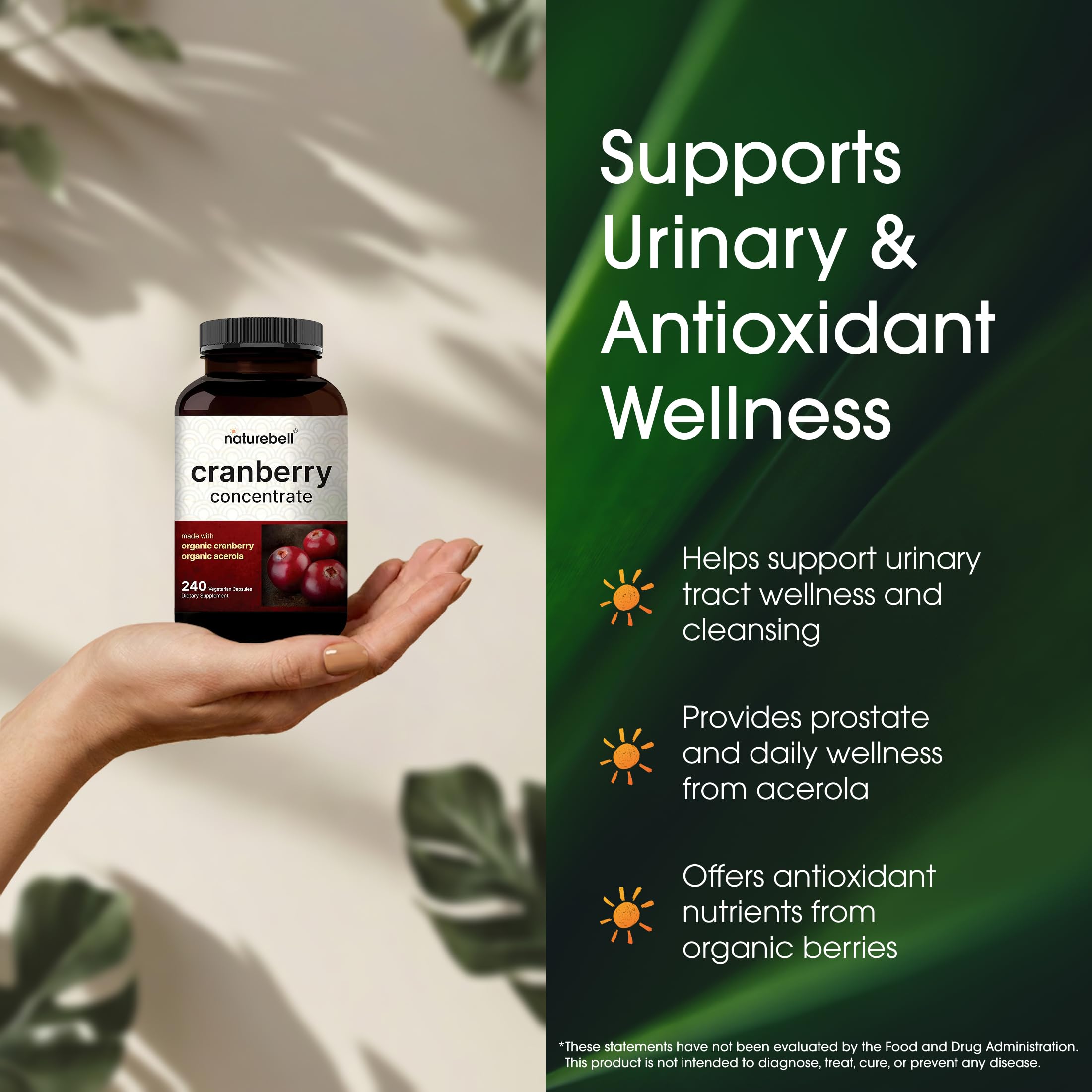 Acerola cherry powder visual from NatureBell product line