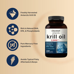 NatureBell krill oil phospholipids aiding absorption