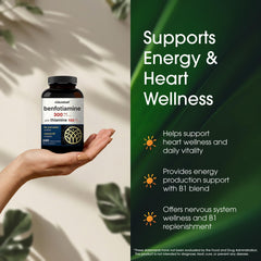 NatureBell Benfotiamine nutrition panel highlights potency and ingredients
