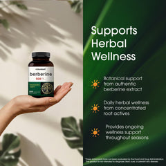 Illustration of Berberis aristata root extract used in NatureBell Berberine.