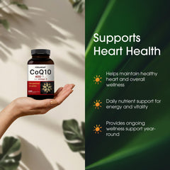 NatureBell packaging flatlay, premium vegetarian capsules and bottle