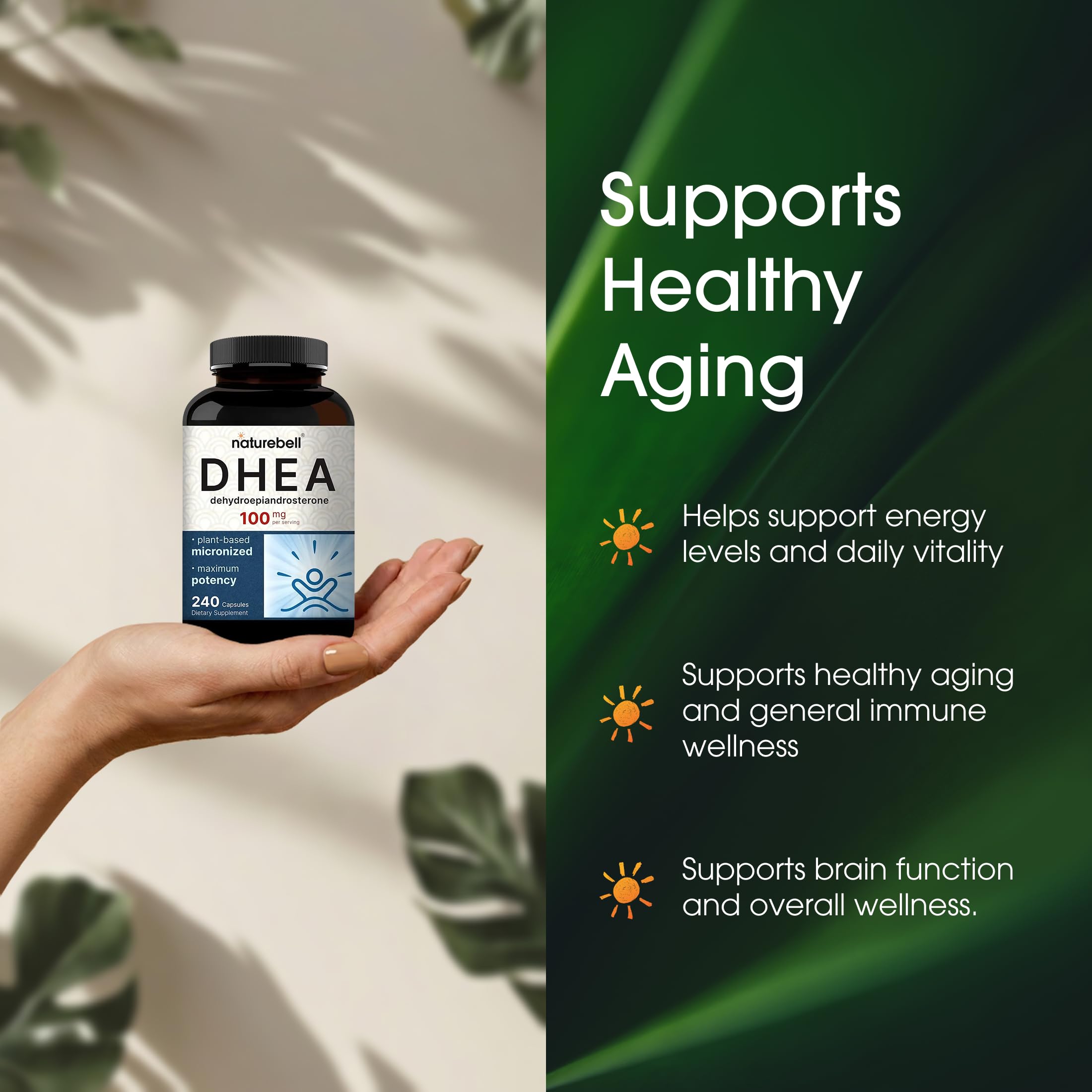 NatureBell DHEA bottle on white background ready for daily use.
