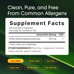 NatureBell DHEA 100mg label close-up highlighting non-GMO and gluten-free attributes.