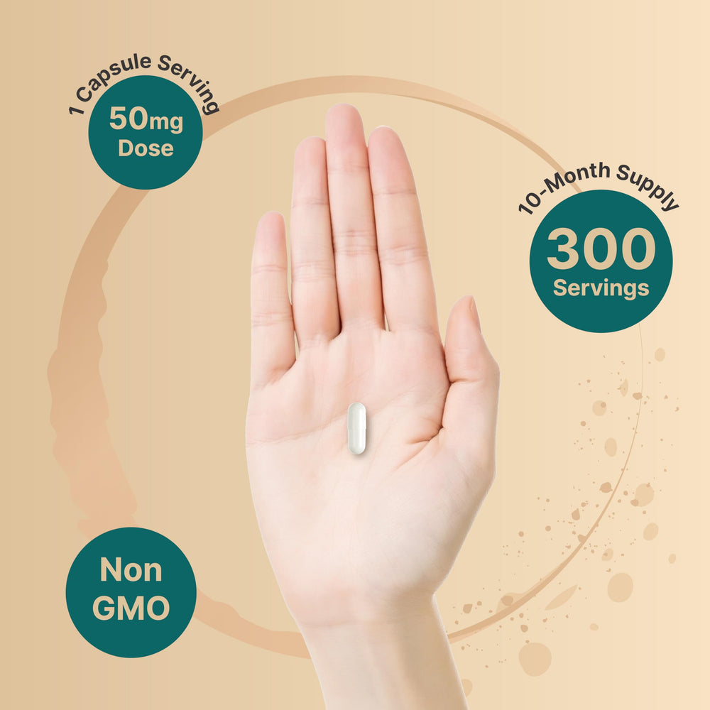 NatureBell DHEA 50mg back-of-bottle details safety and third-party testing