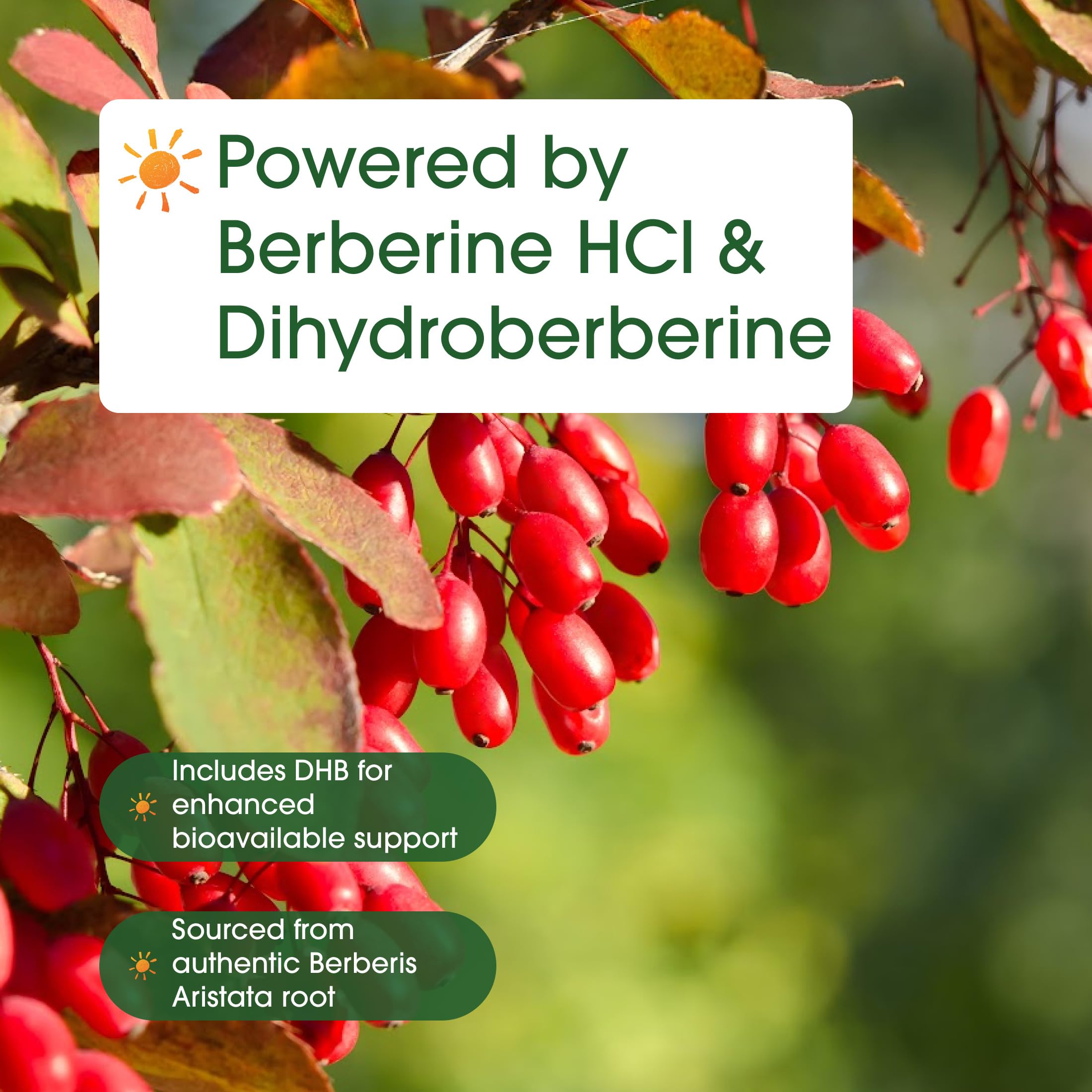 NatureBell Dihydroberberine gluten-free and non-GMO badge supports dietary preferences.