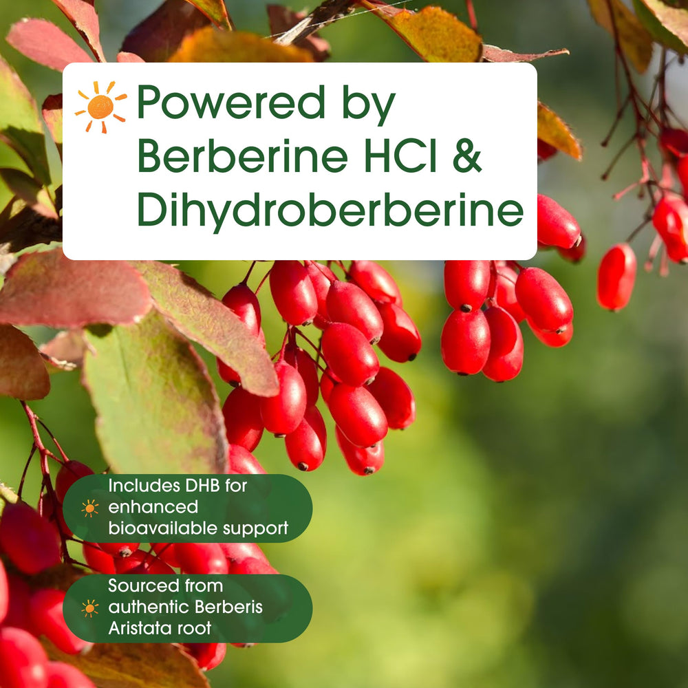 NatureBell Dihydroberberine gluten-free and non-GMO badge supports dietary preferences.
