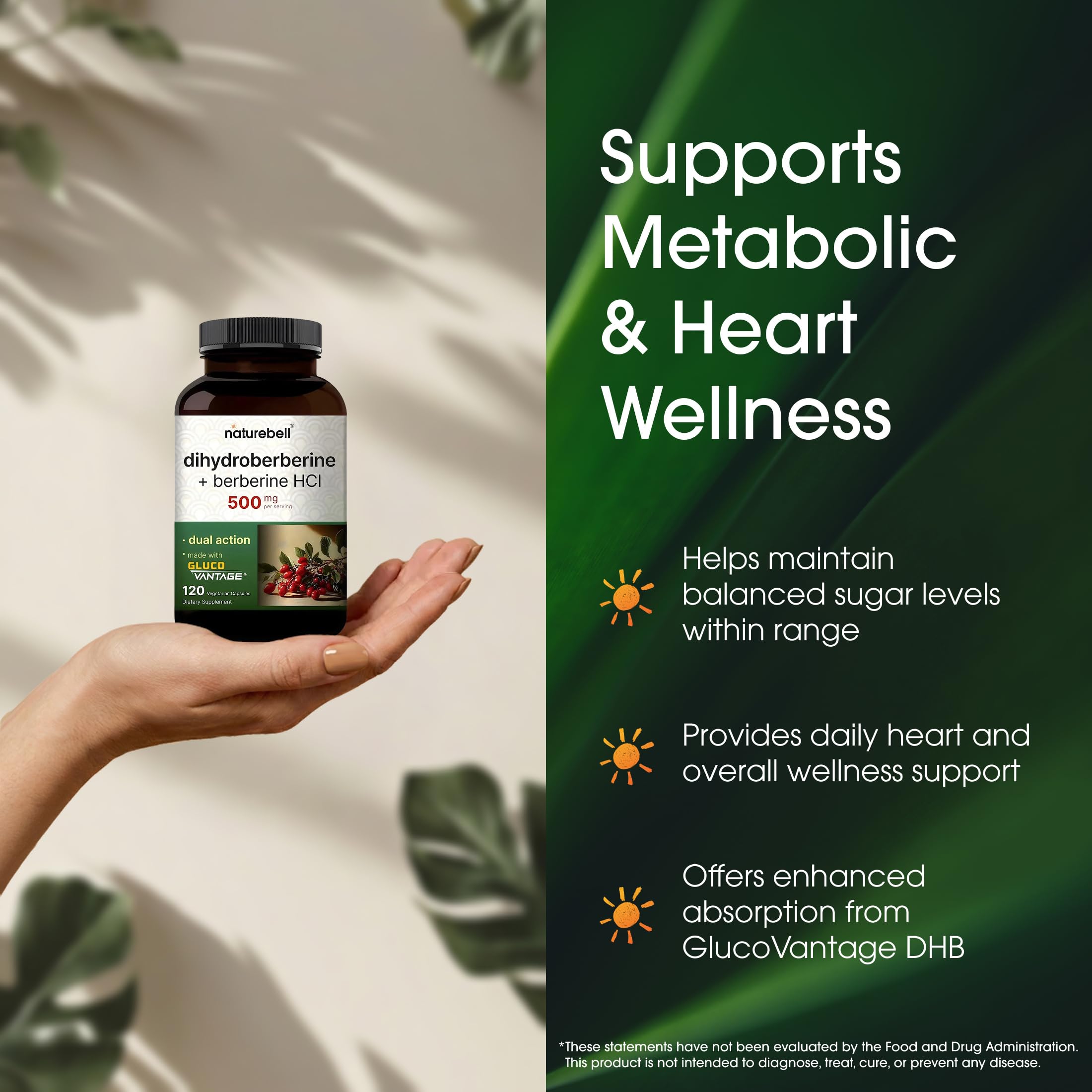 NatureBell Dihydroberberine root extract image emphasizes premium plant-based source.