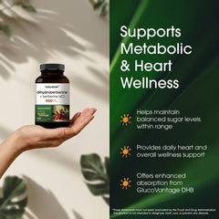 NatureBell Dihydroberberine root extract image emphasizes premium plant-based source.