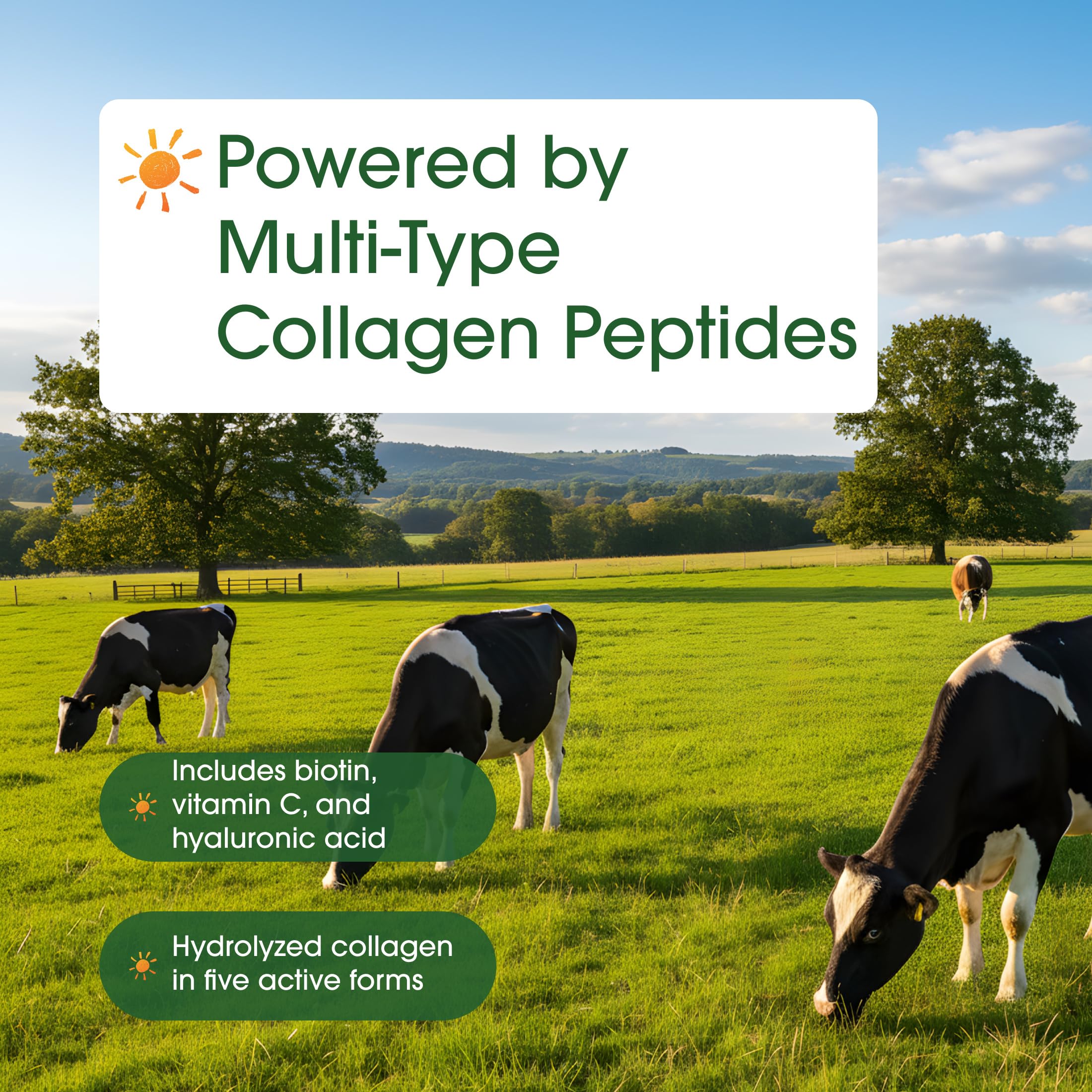 NatureBell keto-friendly unflavored collagen powder blends into beverages