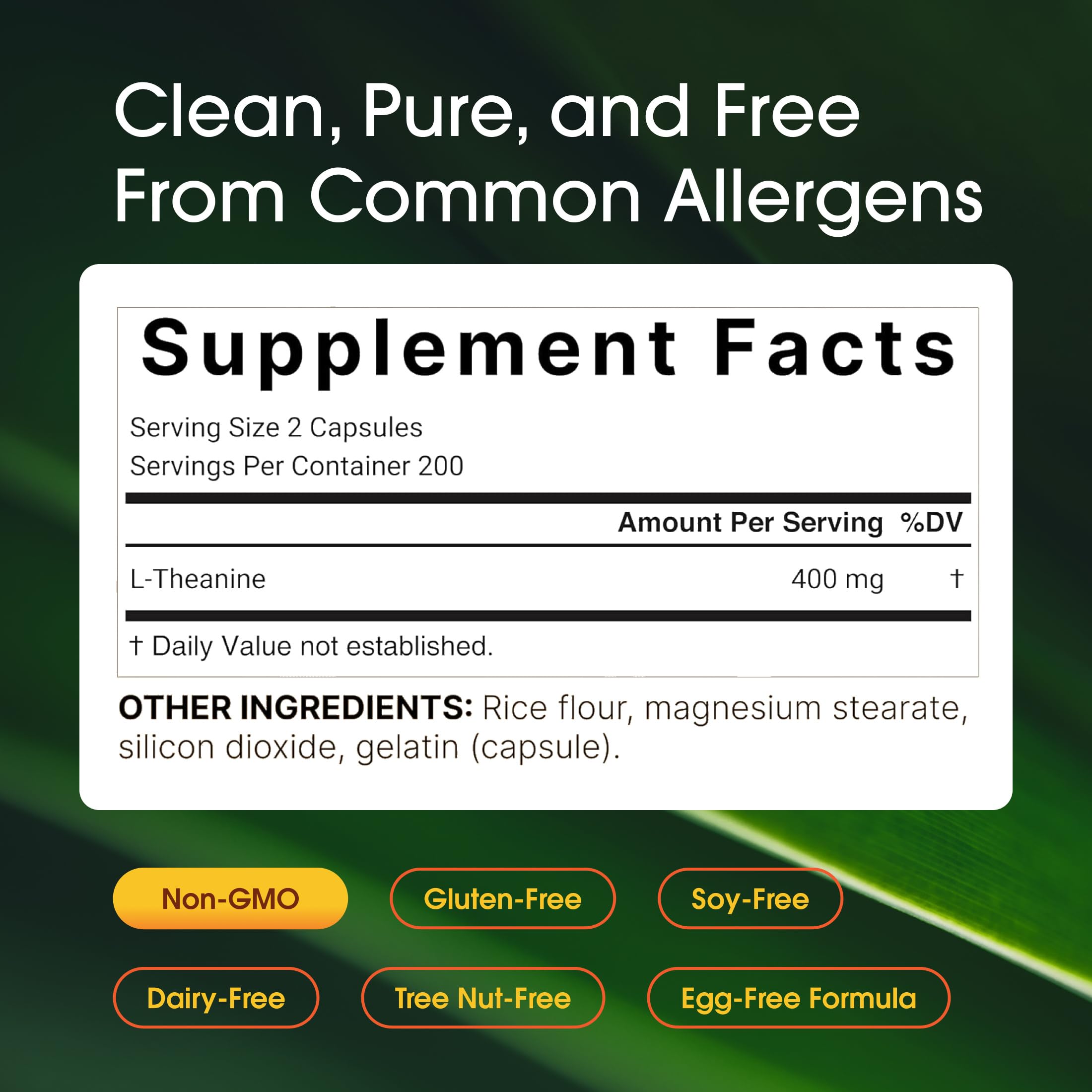 NatureBell L-Theanine bottle back lists ingredients and allergen information for transparency.