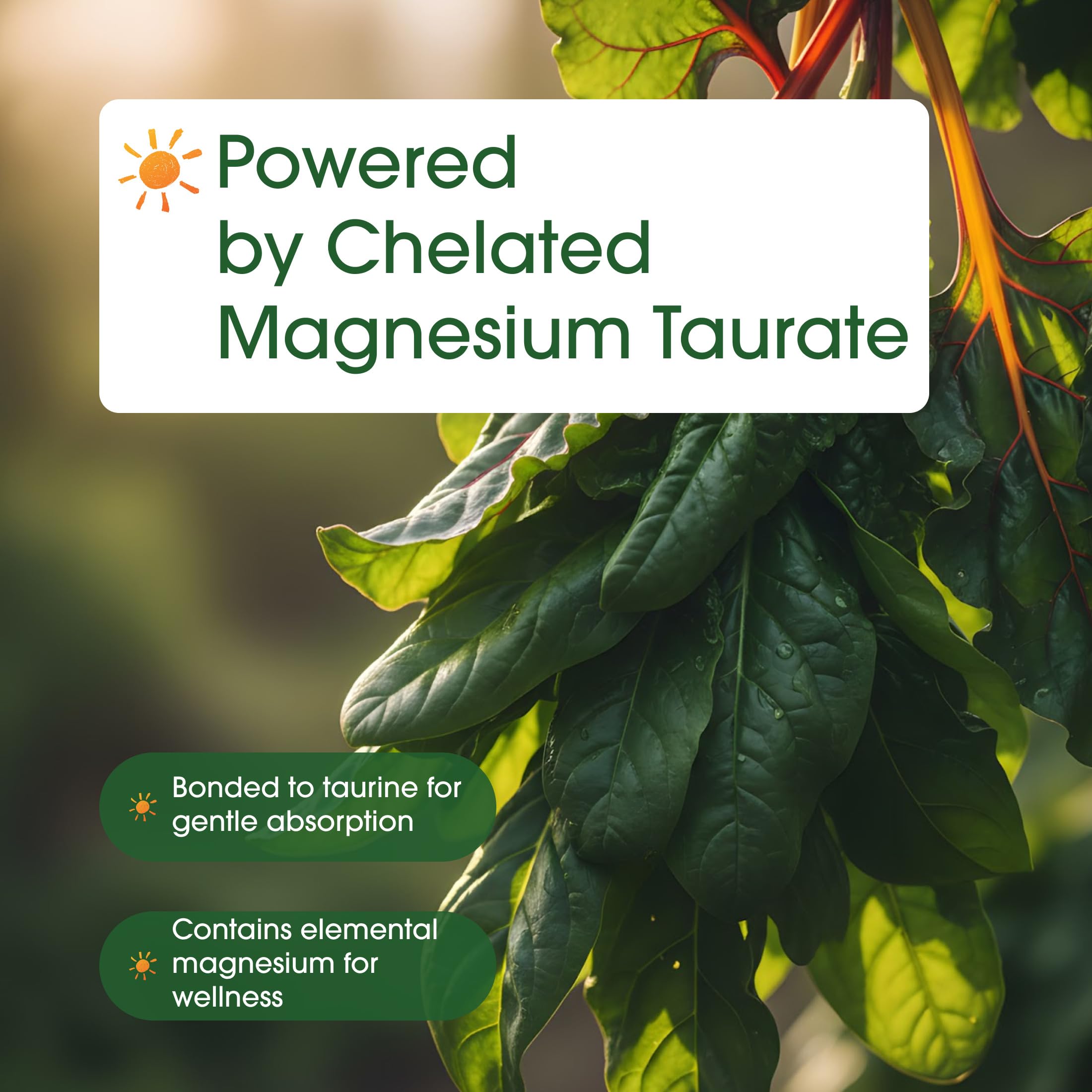 NatureBell Magnesium Taurate third party testing badge assures quality