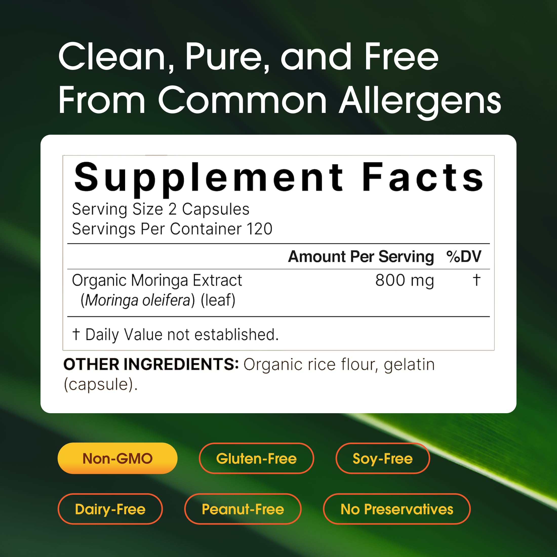 NatureBell Moringa capsules close-up for easy daily supplementation.