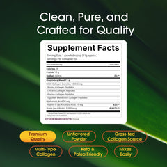 NatureBell Multi Collagen powder scoop for convenient daily dosing