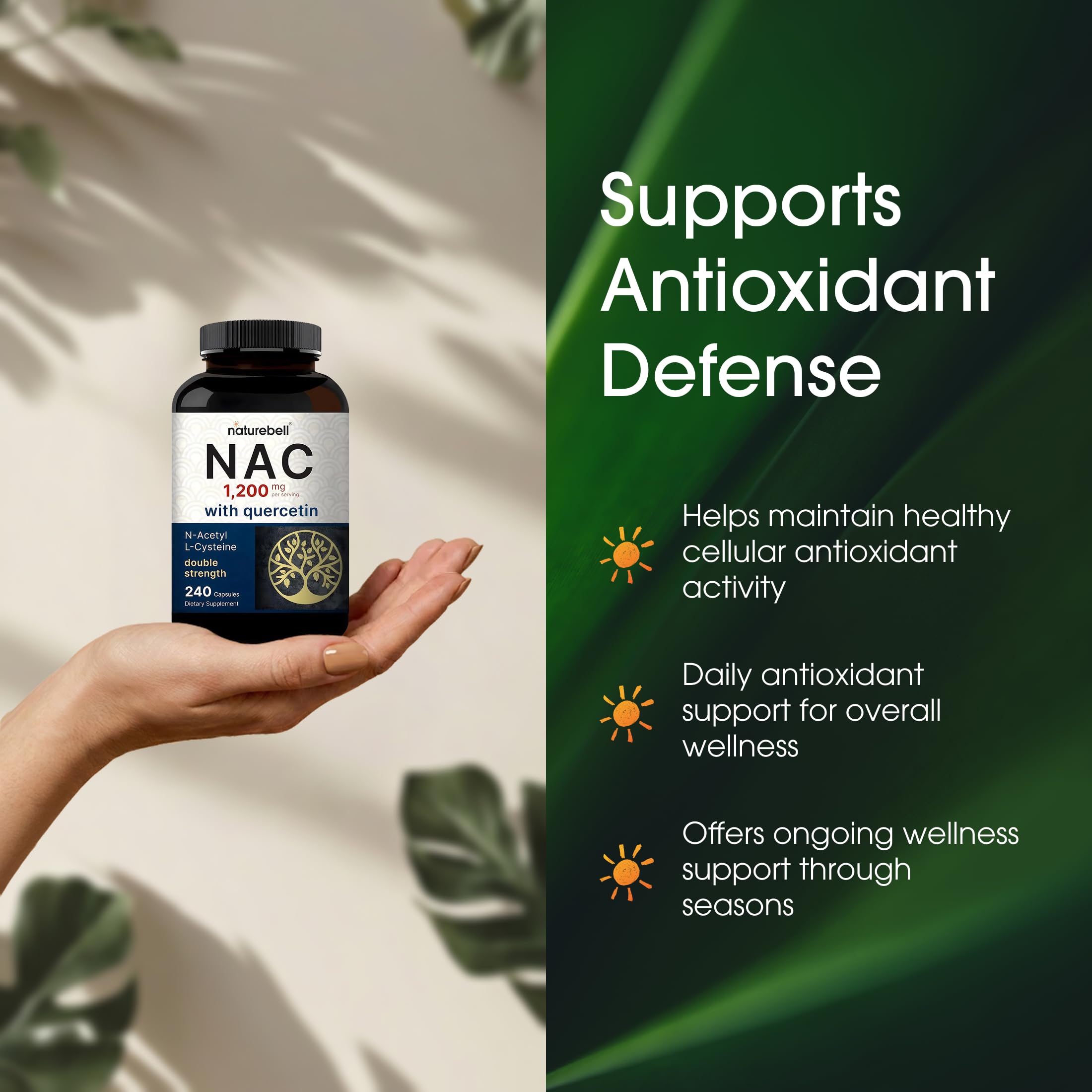 NatureBell NAC quercetin bottle in hand, convenient daily wellness option.