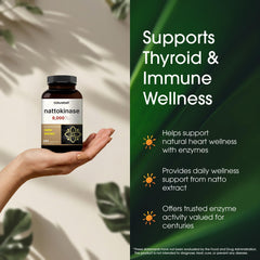 NatureBell Nattokinase traditional plant-based source highlighted by natto imagery