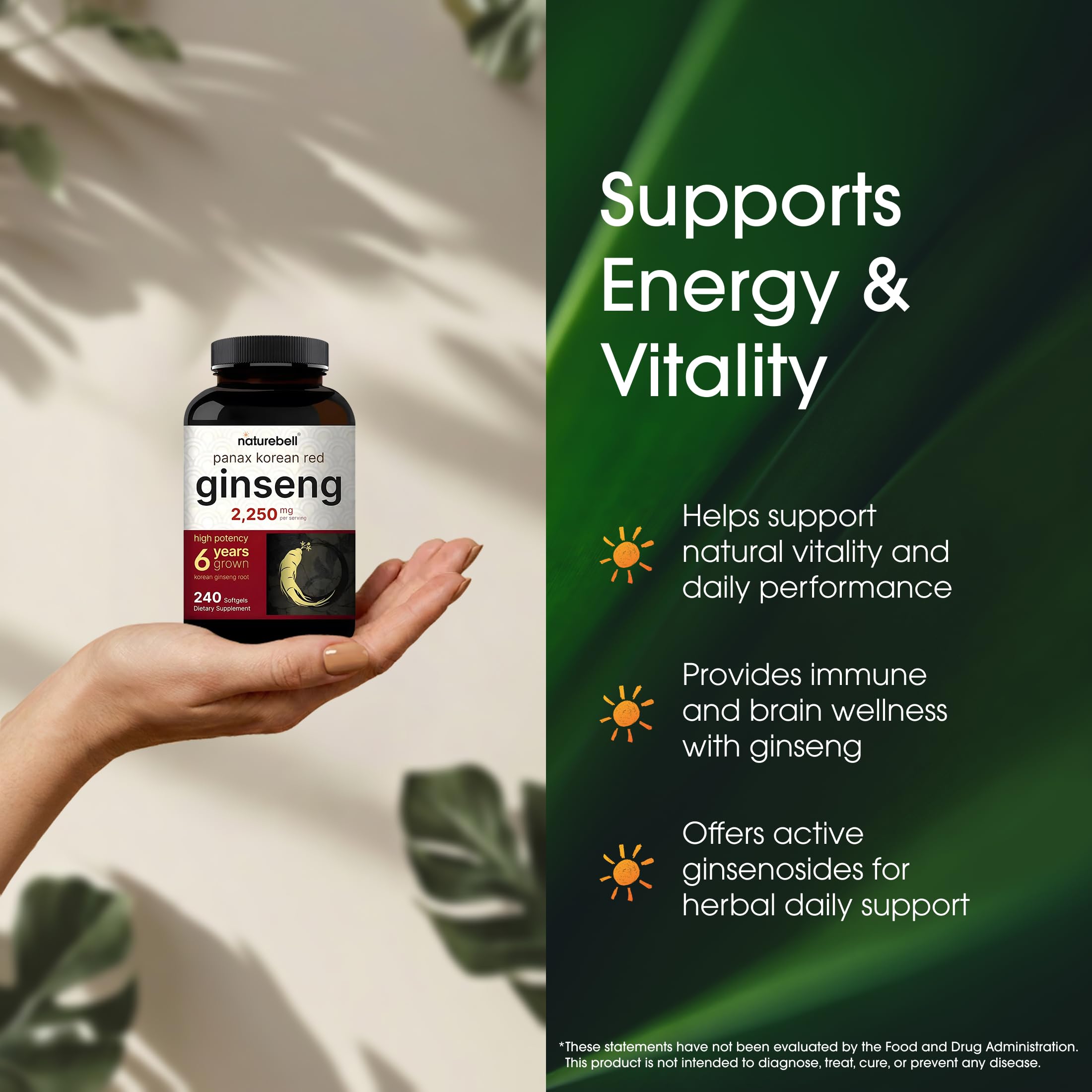 Ginsenoside-rich extract suggests antioxidant support for daily focus