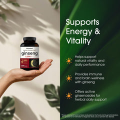 Ginsenoside-rich extract suggests antioxidant support for daily focus