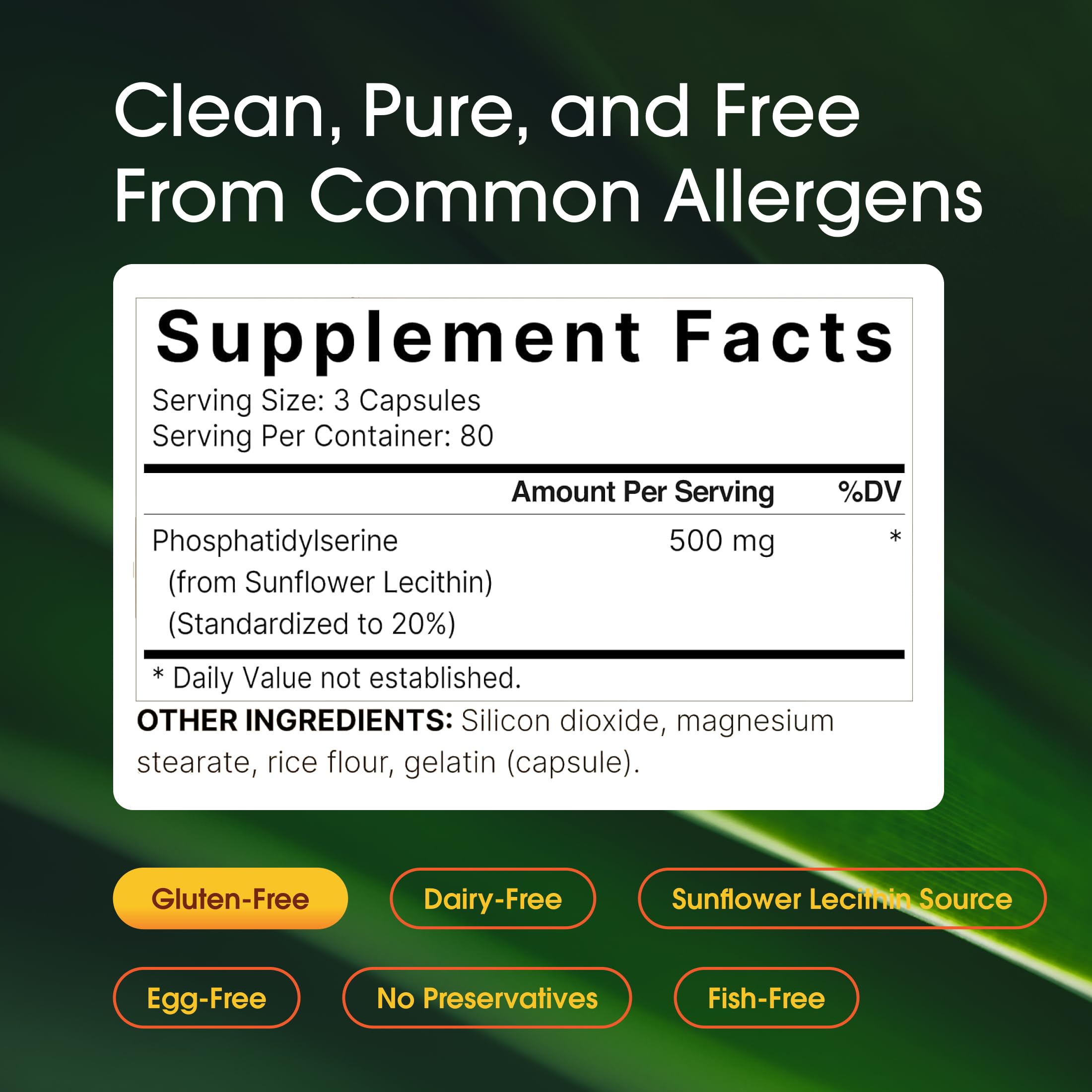 NatureBell PS capsules inside bottle ready for daily cognitive support