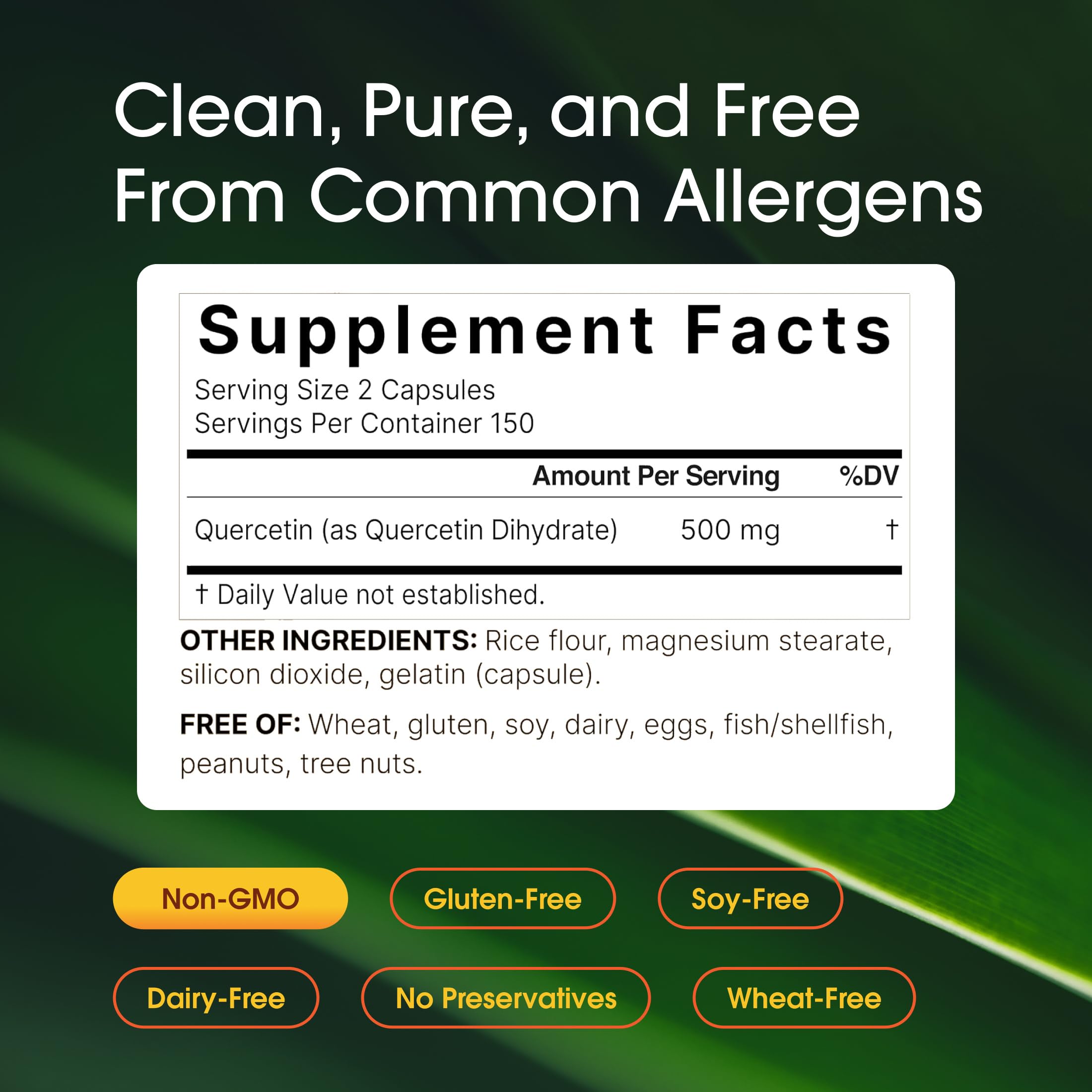 NatureBell Quercetin bottle on white background for easy online shopping and daily intake.