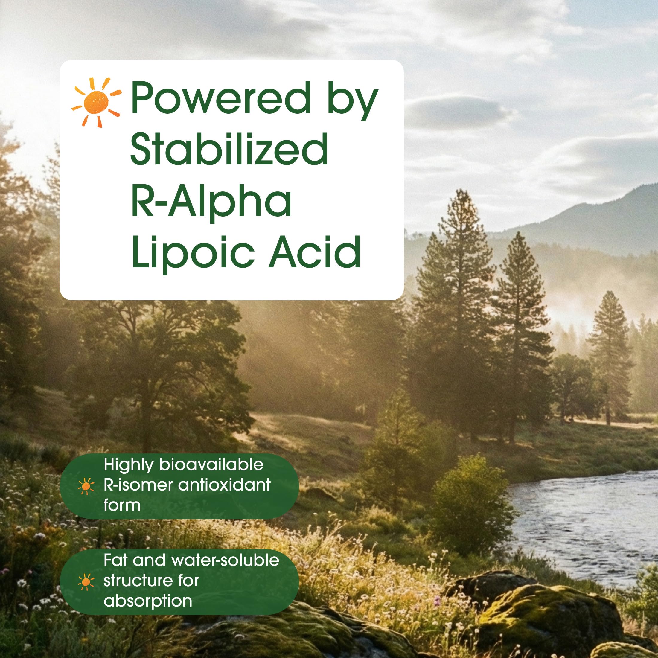 NatureBell R-Alpha Lipoic Acid non-GMO and gluten-free icons.