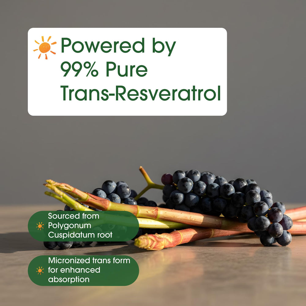 NatureBell Resveratrol packaging in hand conveys on-the-go convenience