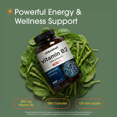 NatureBell Vitamin B2 bottle label close-up showing non-GMO and gluten-free features.