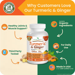 Nature's Branch ginger root close-up conveys natural warmth and flavor.