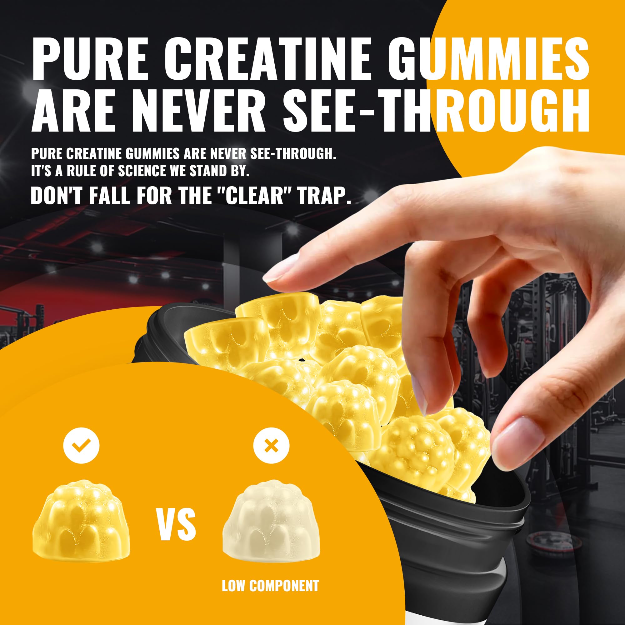 NSF certified label on Natures Aid Creatine Gummy bottle
