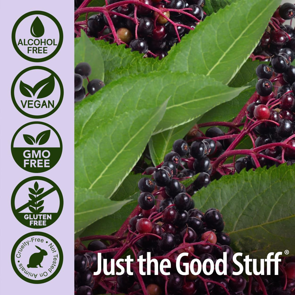 Nature's Answer Kids Sambucus chews kid-friendly usage during snack time