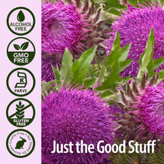 Nature's Answer Milk Thistle label closeup shows careful, alcohol-free formula.