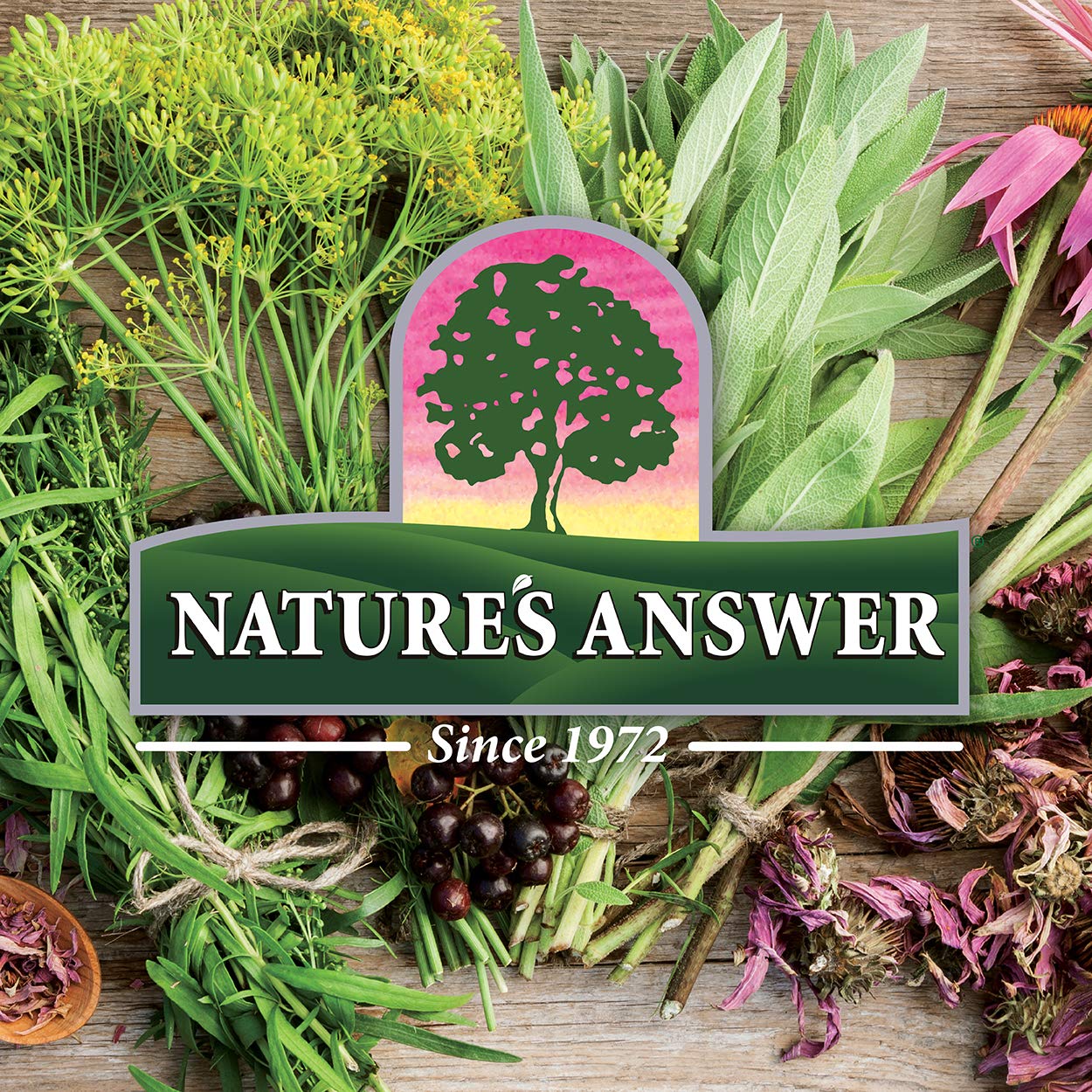 Nature's Answer Milk Thistle USA-made packaging signals quality and care.