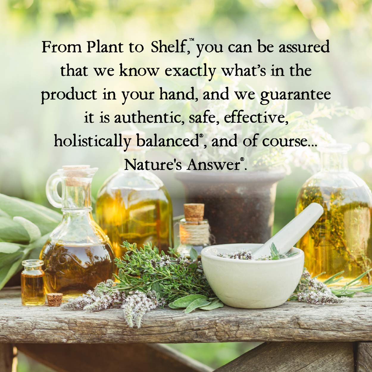 Gentle spa-like vibe with valerian root bottle displayed.
