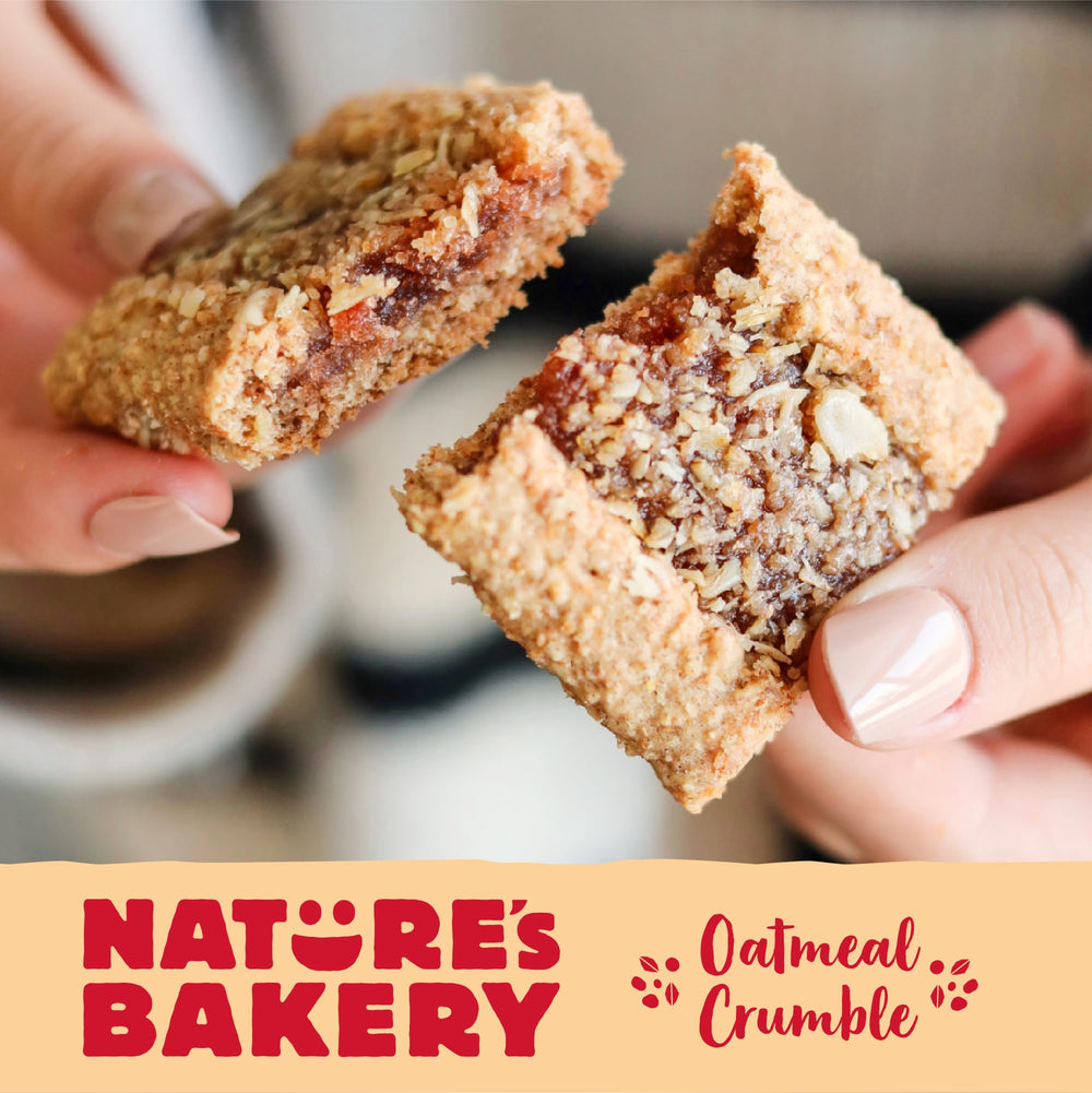 Nature's Bakery strawberry breakfast-ready bar for busy mornings.