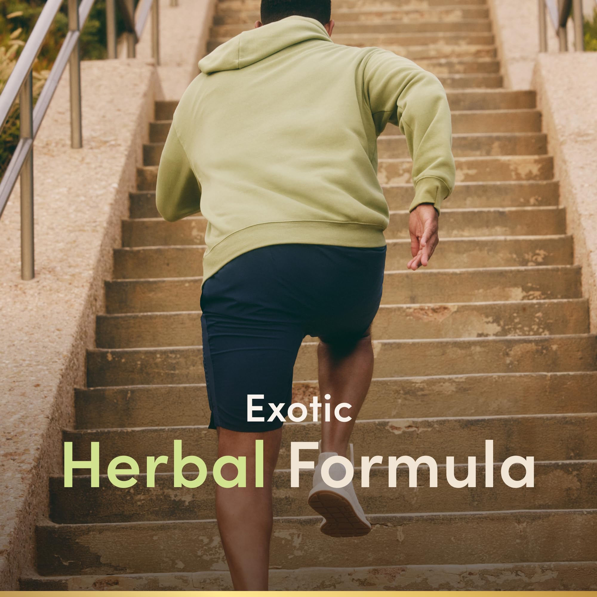 Nature's Bounty Horny Goat Weed with Maca capsules for daily use