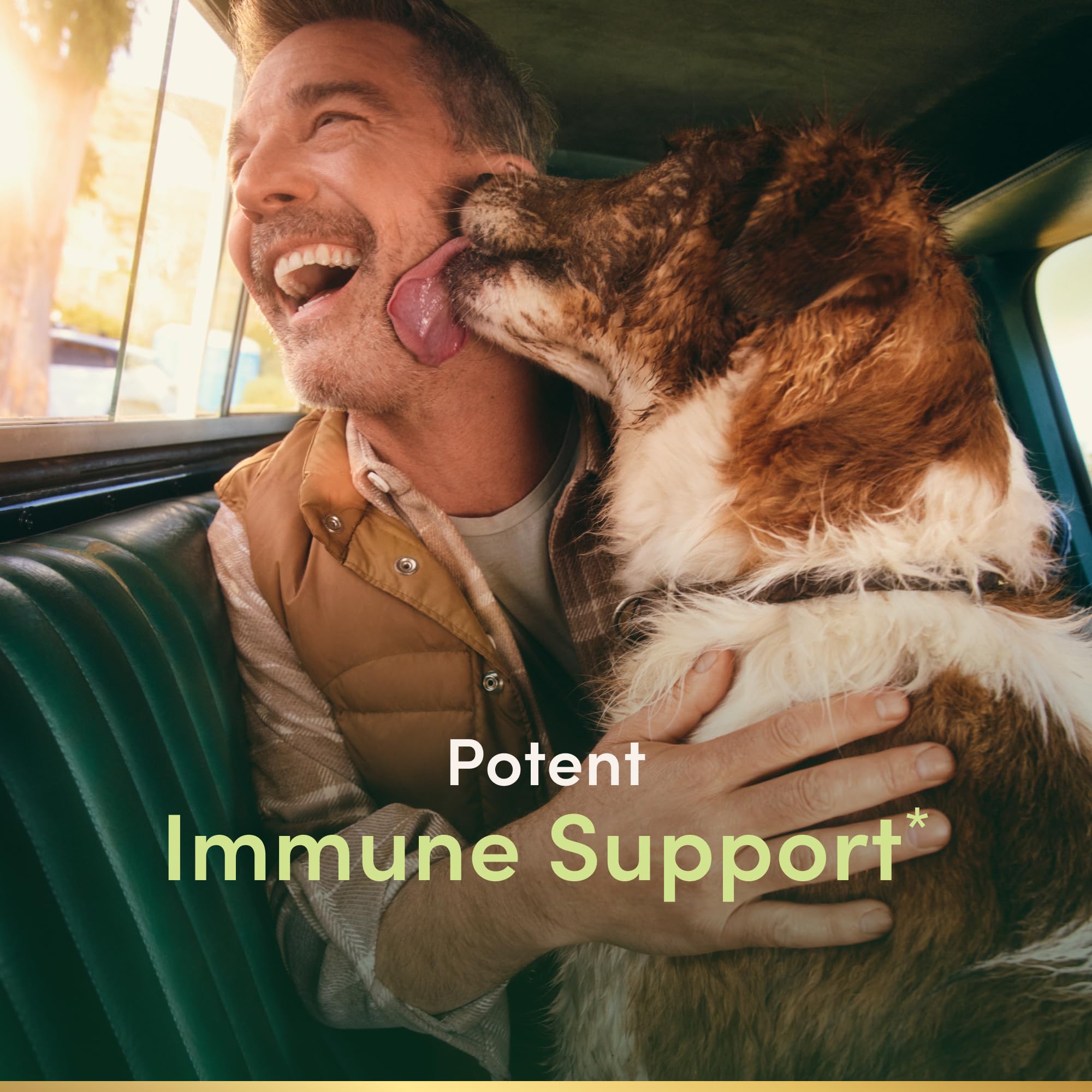 Nature’s Bounty Quercetin capsules close-up for daily immune support.