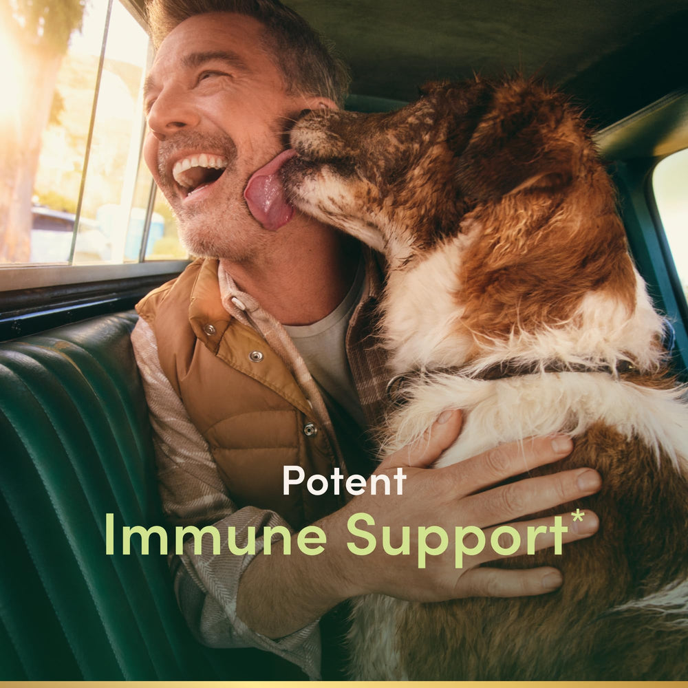 Nature’s Bounty Quercetin capsules close-up for daily immune support.