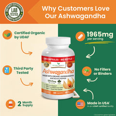 NATURE'S BRANCH ashwa with black pepper label emphasizes enhanced absorption.