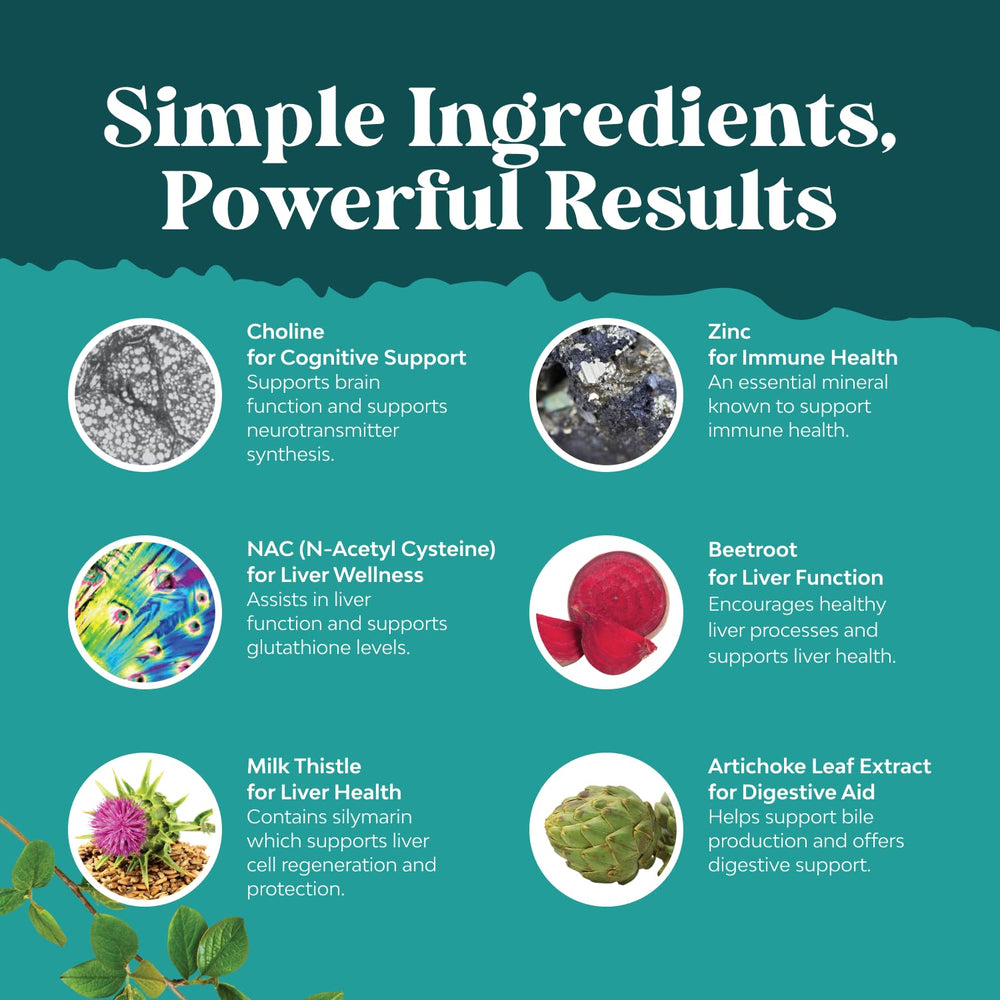 Nature's Craft Dandelion Root display hints gentle balance for digestion.