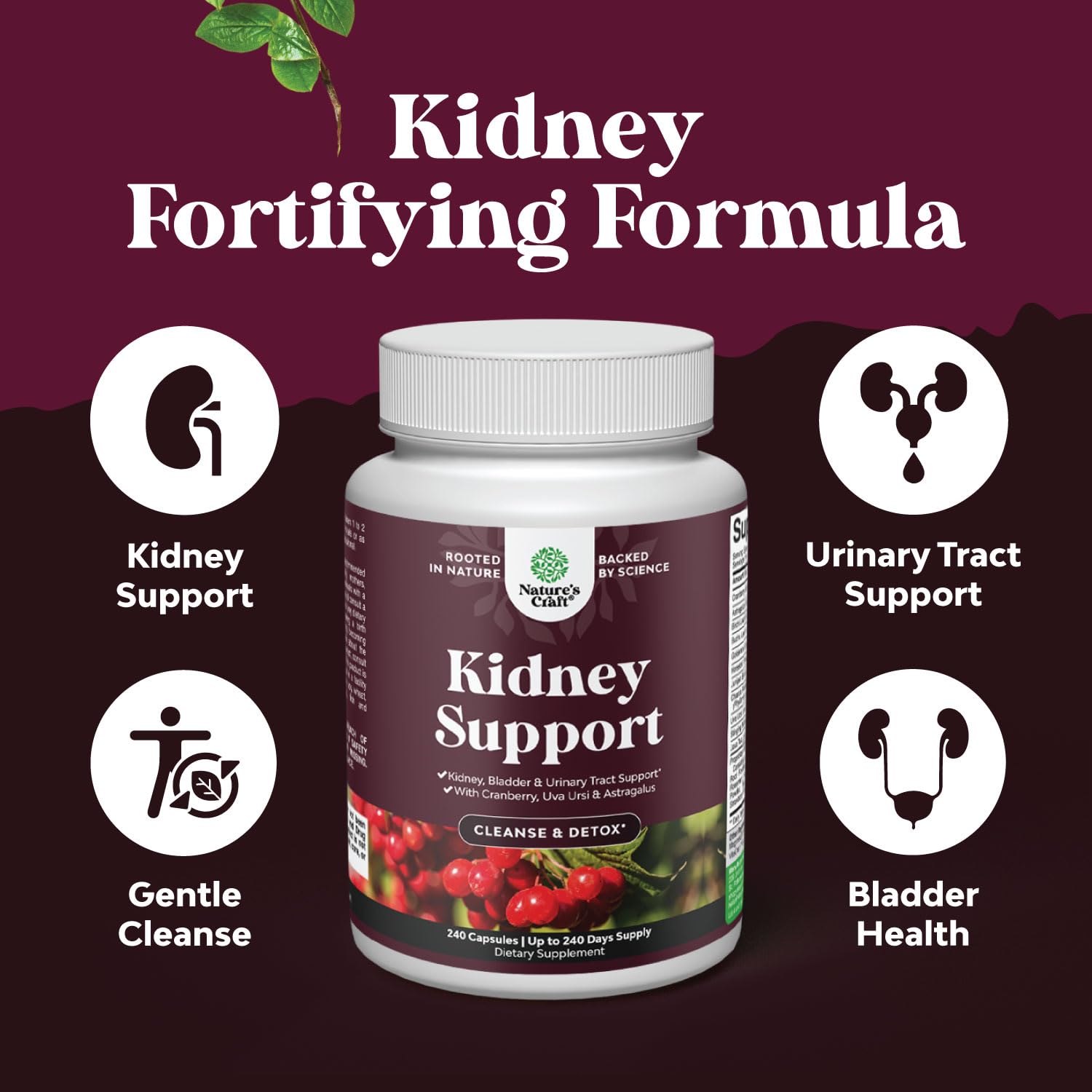 Natures Craft herbal blend capsules close-up with astragalus, cranberry, and Uva Ursi.