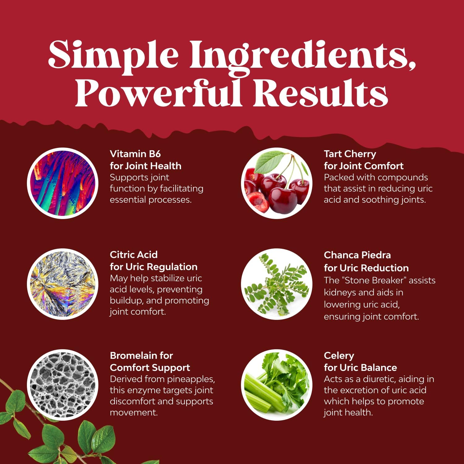 Natures Craft ingredient blend label conveys premium herbal formula