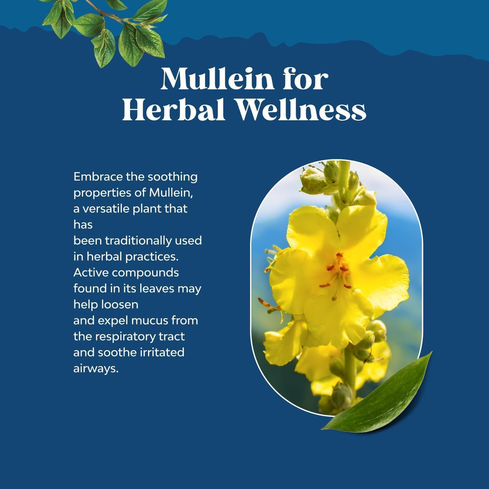 Natures Craft vegan organic mullein drops bottle highlights plant based care