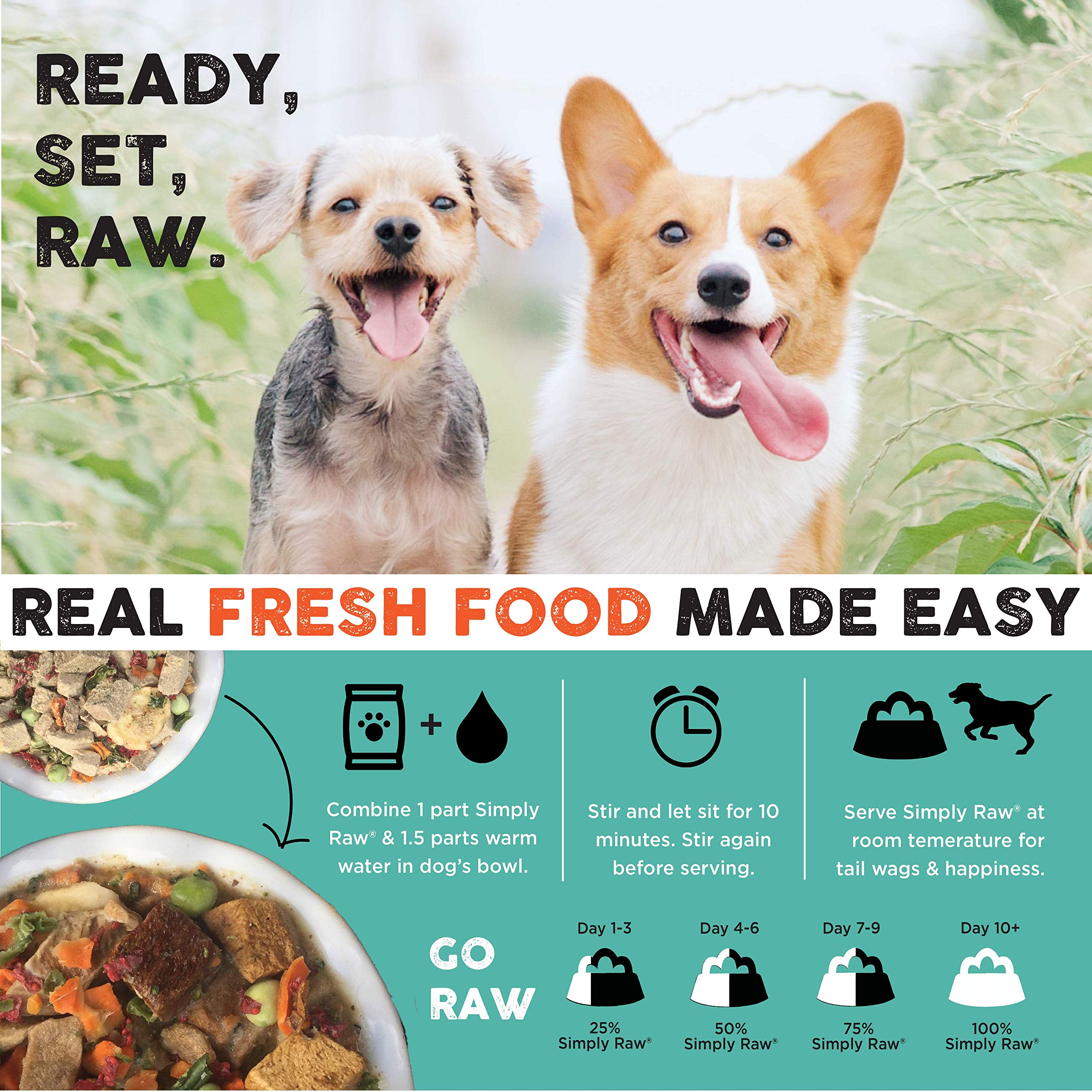 Nature's Diet Simply Raw probiotics and prebiotics support gut balance.