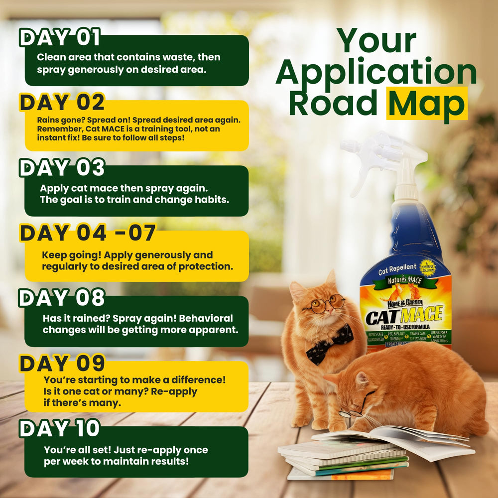 Protect driveways and garden edges with cross-spot deterrence.