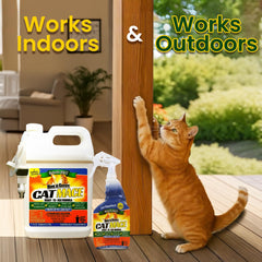 Indoor use protects furniture from cat scratches with careful application.