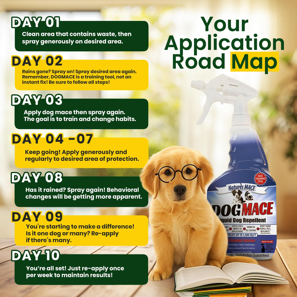 Nature's MACE family-safe spray is gentle around kids and plants.