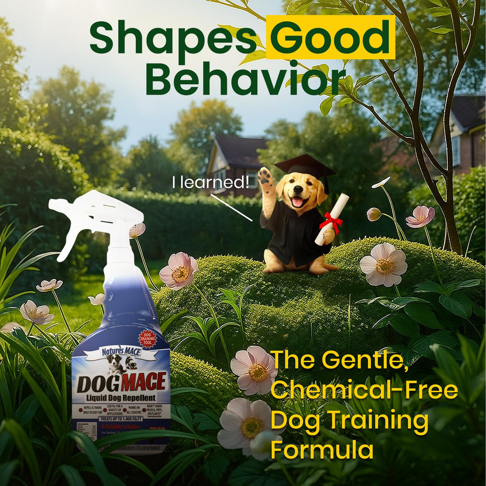 Nature's MACE yard deterrent spray on grass helps prevent digging.