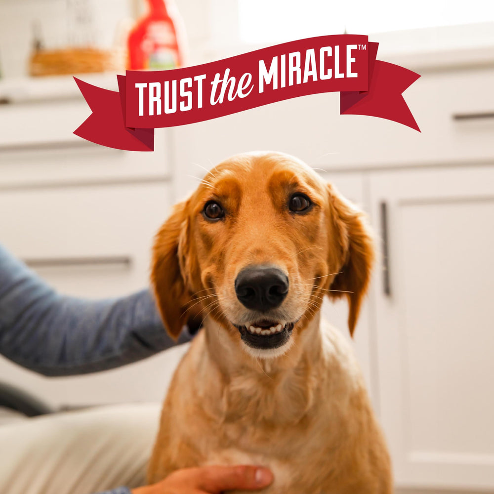 Nature's Miracle safe for pets when used as directed after treatment.