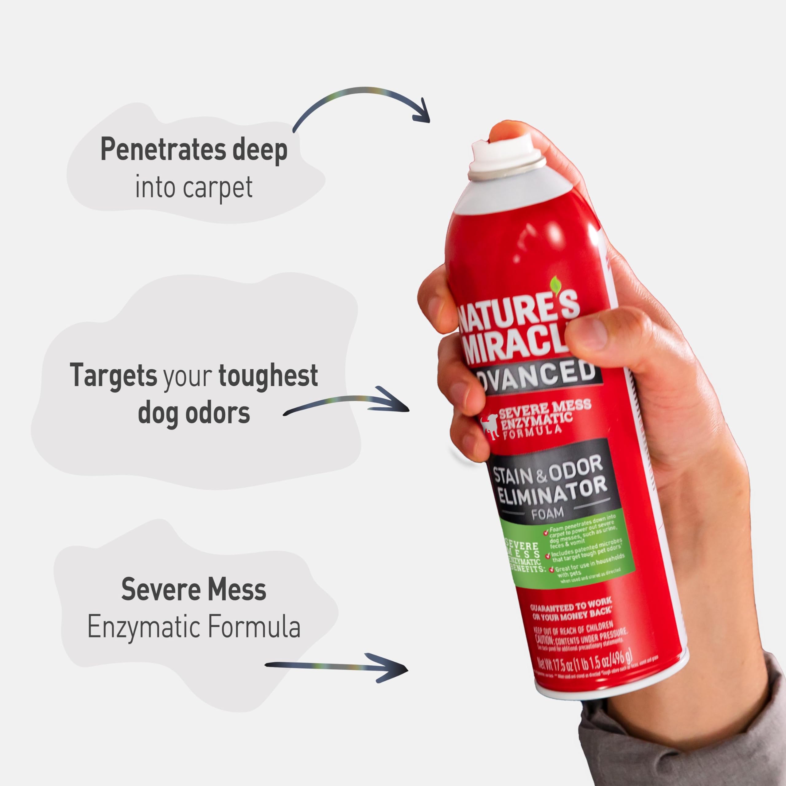 Nature's Miracle step-by-step guide helps you treat messes efficiently at home.