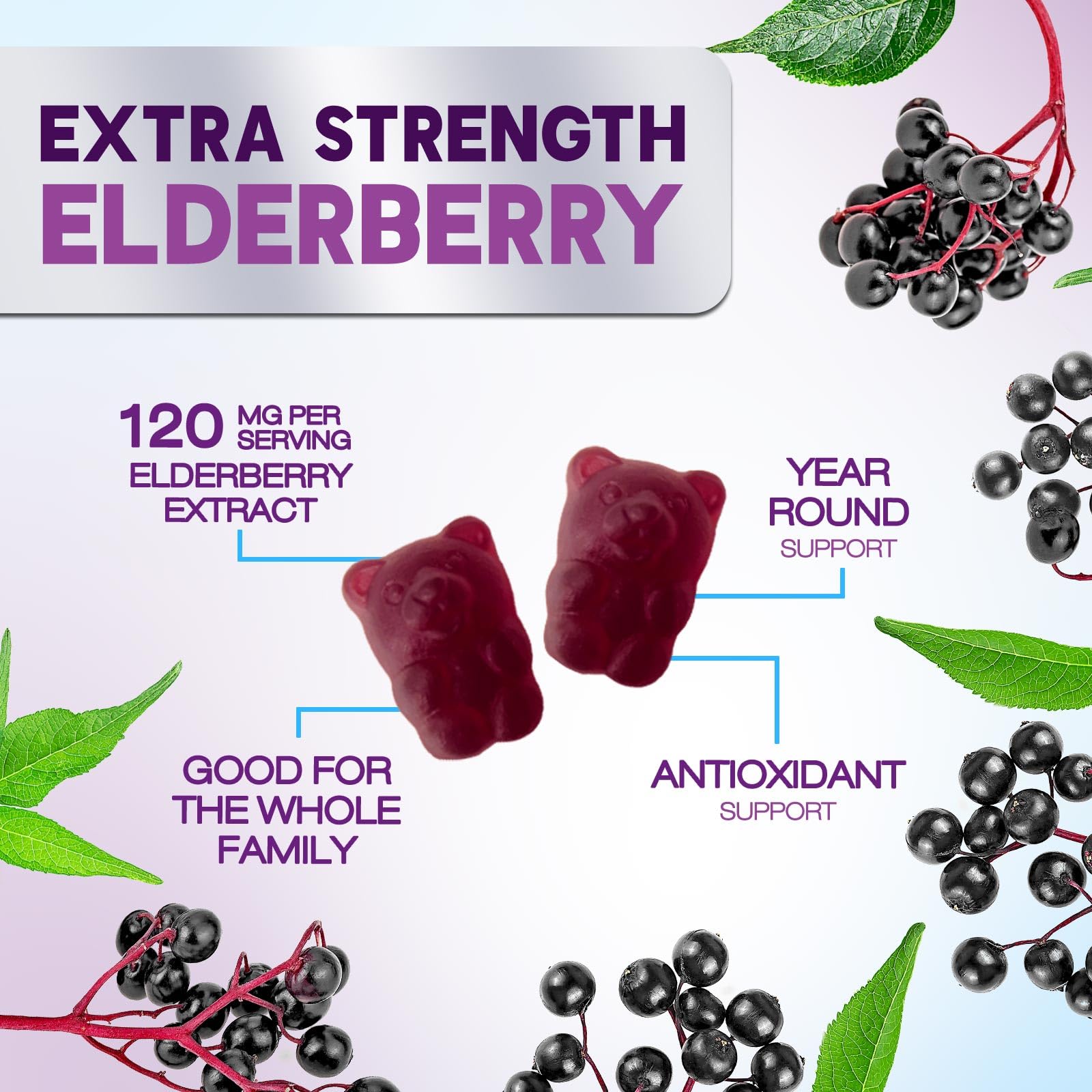 Nature's Nutrition Elderberry Gummies family pack on the counter.